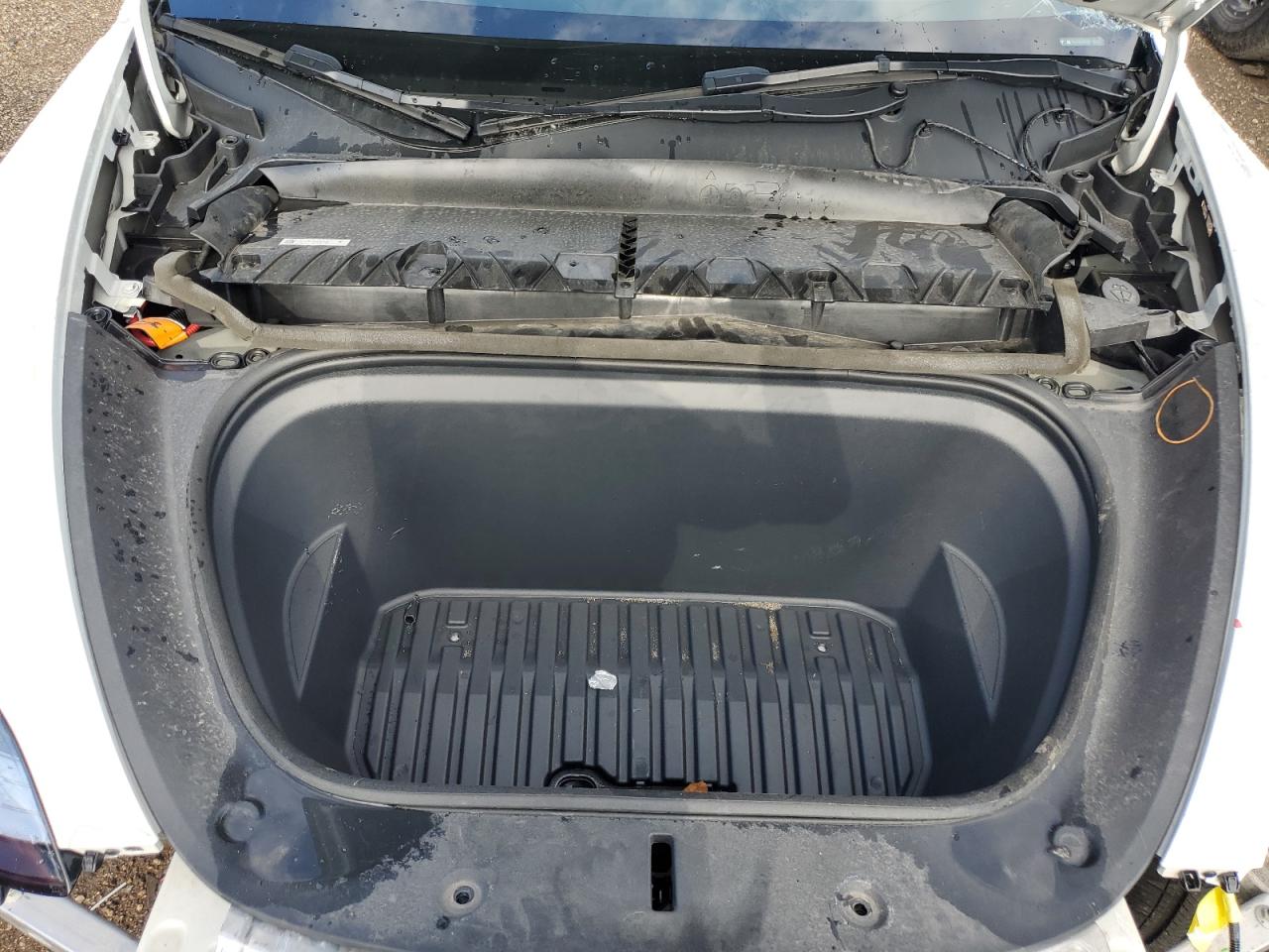 2023 Tesla Model Y VIN: 7SAYGDEE5PA054268 Lot: 70775405