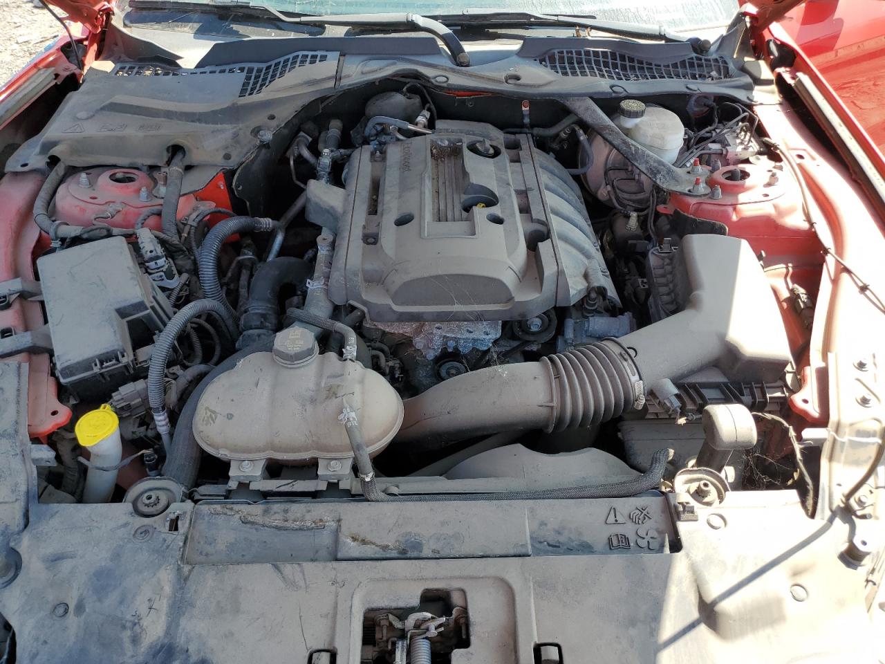 1FATP8UH2K5109787 2019 Ford Mustang