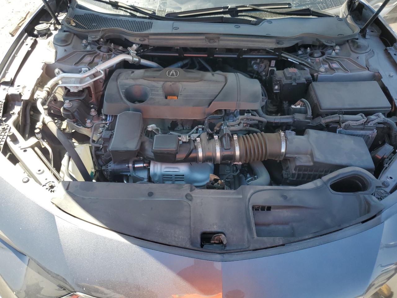 2023 Acura Tlx VIN: 19UUB5F37PA007026 Lot: 69157805