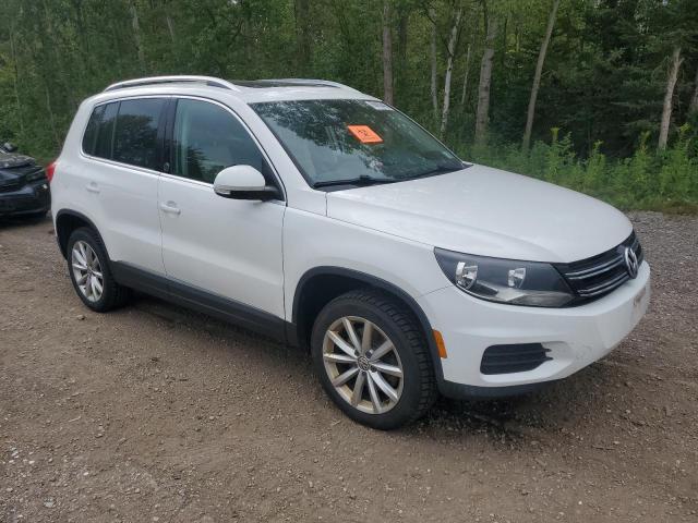 2017 VOLKSWAGEN TIGUAN WOLFSBURG  