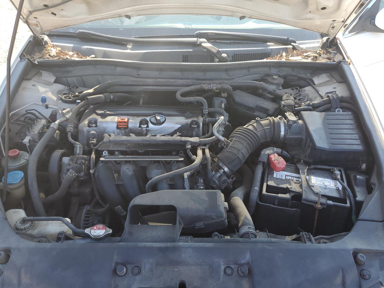 2010 Honda Accord Exl VIN: 1HGCP2F87AA188028 Lot: 69044395