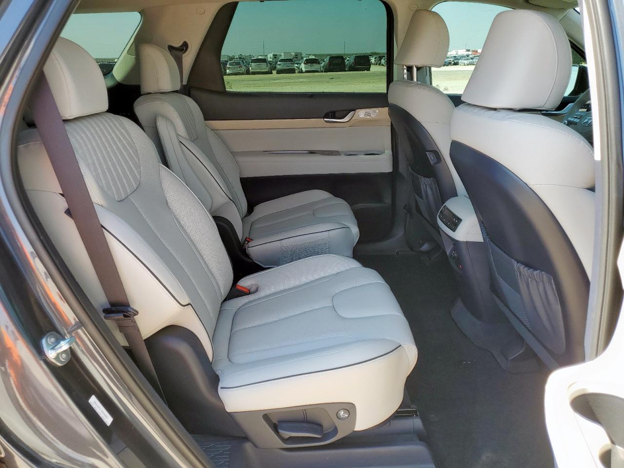 2025 Hyundai Palisade Limited VIN: KM8R5DGE1SU847585 Lot: 67648985