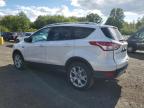 2016 FORD ESCAPE TITANIUM   à vendre chez Copart CT - HARTFORD SPRINGFIELD