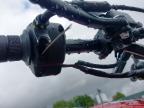 2023 HONDA CBF 125 M-M  for sale at Copart SANDY