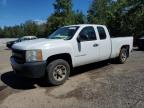 2008 CHEVROLET SILVERADO C1500   à vendre chez Copart ON - COOKSTOWN