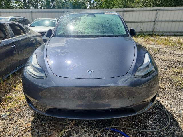  TESLA MODEL Y 2023 Szary
