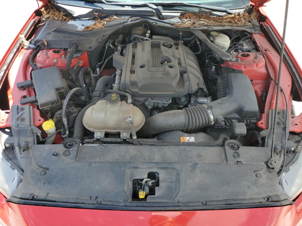 2017 Ford Mustang VIN: 1FATP8UHXH5282174 Lot: 68703935