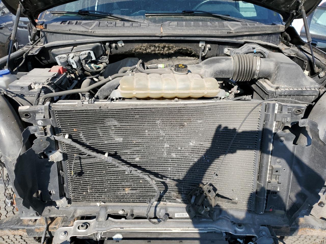 2019 Ford F150 Supercrew VIN: 1FTEW1EP6KFA87791 Lot: 67062545