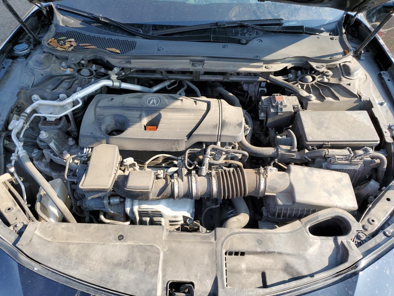 2021 Acura Tlx Advance VIN: 19UUB5F69MA013755 Lot: 69970005