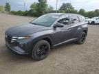 2024 HYUNDAI TUCSON SEL   à vendre chez Copart QC - MONTREAL