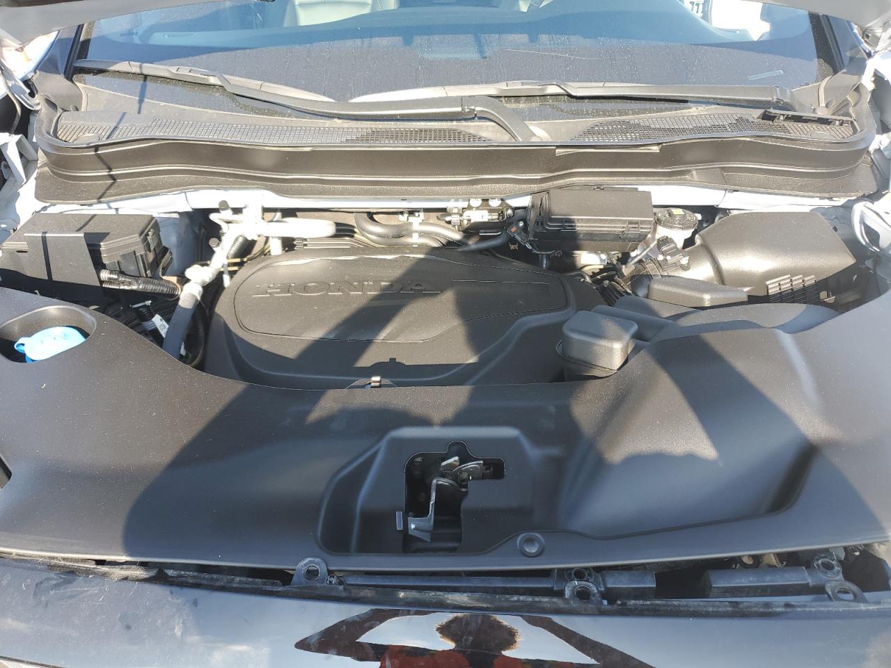 2024 Honda Ridgeline Trail Sport VIN: 5FPYK3F61RB003537 Lot: 69967245