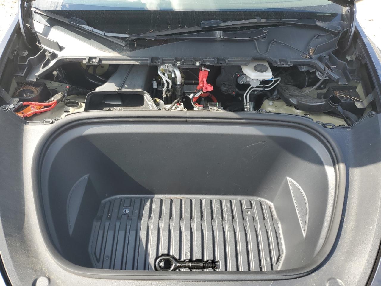 2023 Tesla Model Y VIN: 7SAYGAEE2PF856665 Lot: 67579685