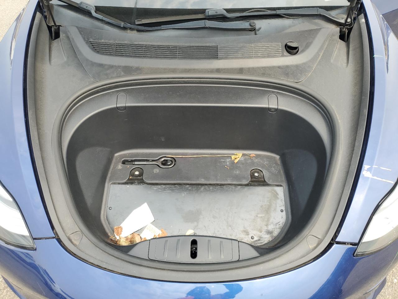 2019 Tesla Model 3 VIN: 5YJ3E1EA1KF299587 Lot: 67464055