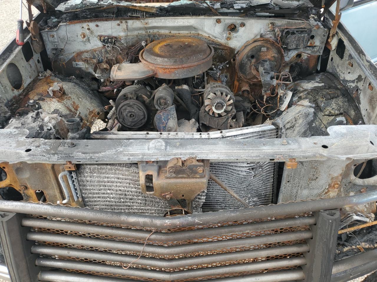 1991 GMC Sierra C1500 VIN: 2GTEC19K3M1525605 Lot: 69089645