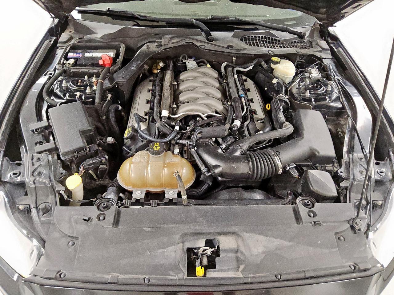 2015 Ford Mustang Gt VIN: 1FA6P8CF8F5391386 Lot: 69671975