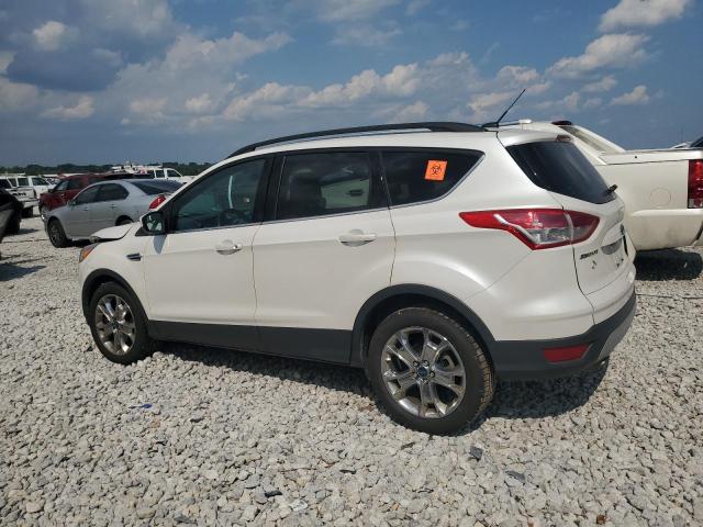  FORD ESCAPE 2016 Белы