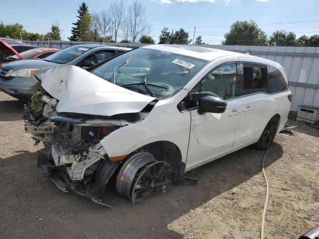 2023 HONDA ODYSSEY BLACK EDITION   à vendre chez Copart ON - TORONTO