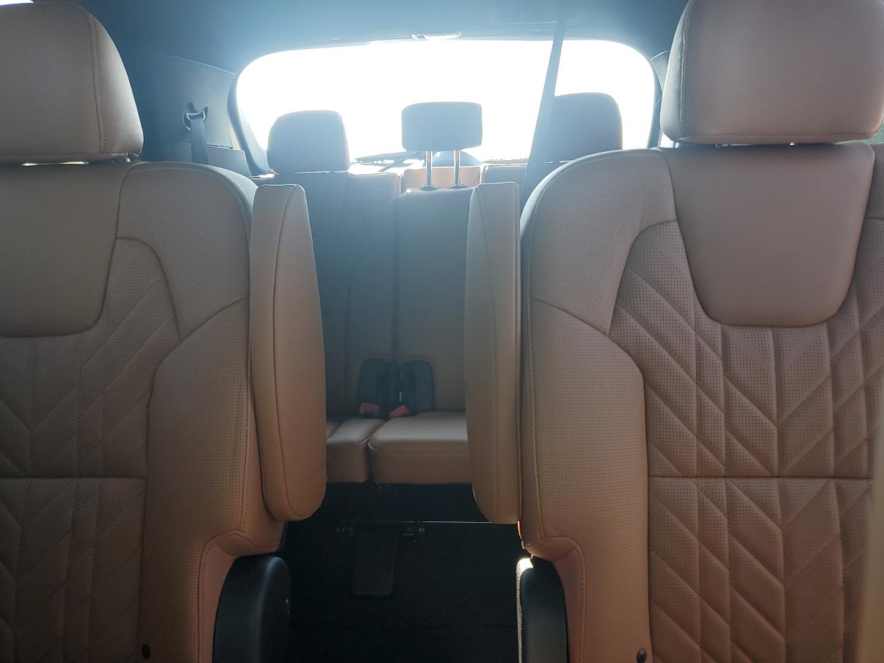 2024 Kia Telluride Ex VIN: 5XYP3DGC7RG558271 Lot: 69225255