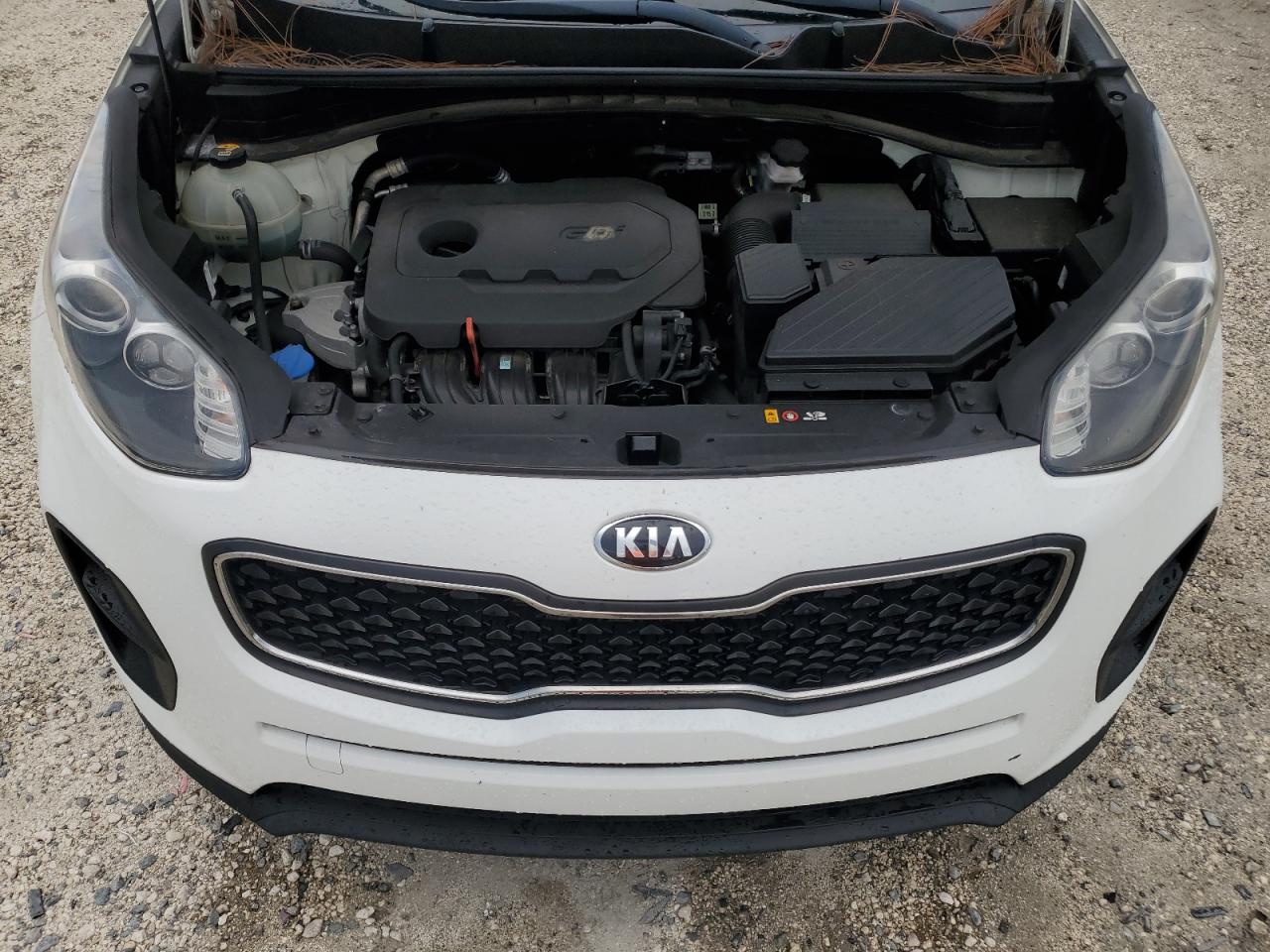 2019 Kia Sportage Lx VIN: KNDPM3AC9K7568299 Lot: 66856265