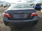 2009 TOYOTA CAMRY BASE   for sale at Copart AB - CALGARY