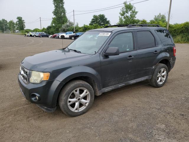 2009 FORD ESCAPE XLT   for sale at Copart QC - MONTREAL
