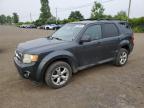 2009 FORD ESCAPE XLT   for sale at Copart QC - MONTREAL