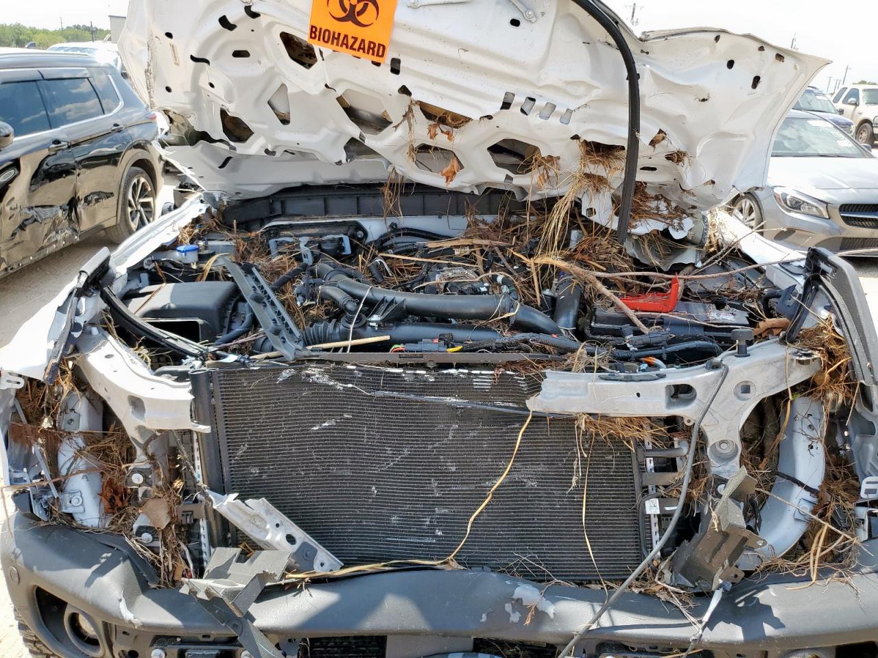 2023 Ford Bronco Base VIN: 1FMEE5DP1PLC02975 Lot: 69251805