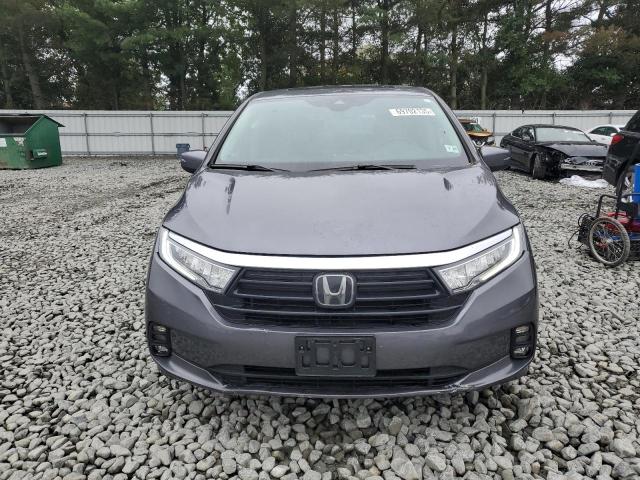  HONDA All Models 2024 Серый