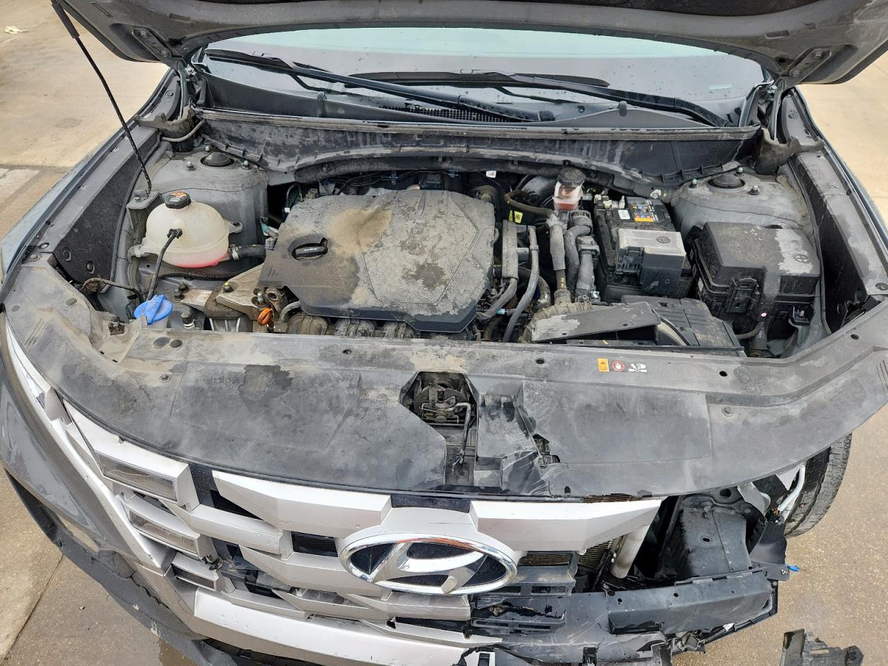 2024 Hyundai Santa Cruz Sel VIN: 5NTJBDAE0RH079803 Lot: 68621445