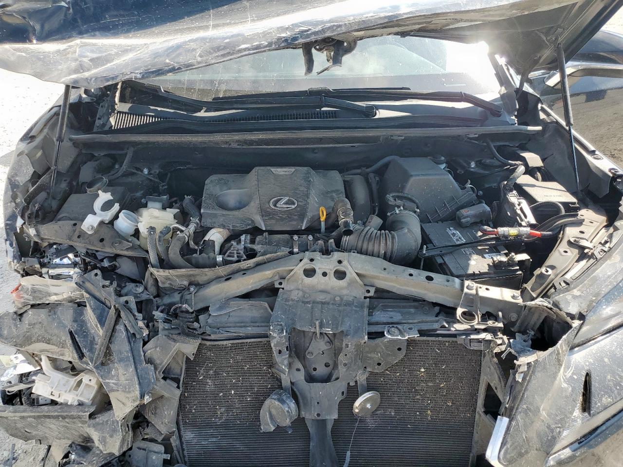 2021 Lexus Nx 300 Base VIN: JTJDARBZ5M2195213 Lot: 71999525