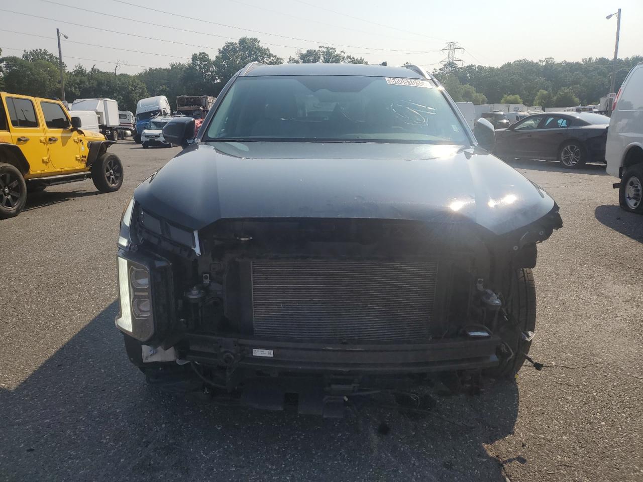 2025 Hyundai Palisade Sel VIN: KM8R24GEXSU868444 Lot: 66081035