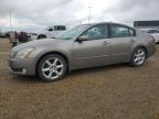 2004 NISSAN MAXIMA SE   for sale at Copart AB - EDMONTON