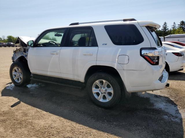 2019 TOYOTA 4RUNNER SR5/SR5 PREMIUM  