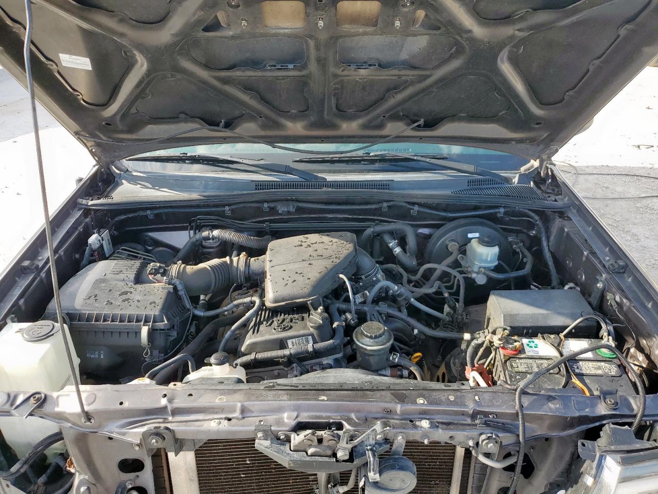 2011 Toyota Tacoma VIN: 5TFNX4CN3BX006451 Lot: 66823515