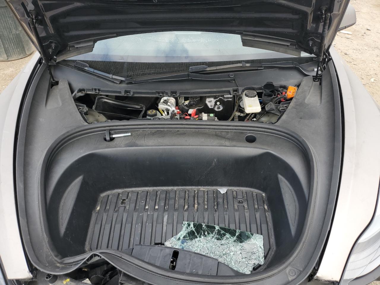 2023 Tesla Model 3 VIN: 5YJ3E1EA1PF492569 Lot: 69884145