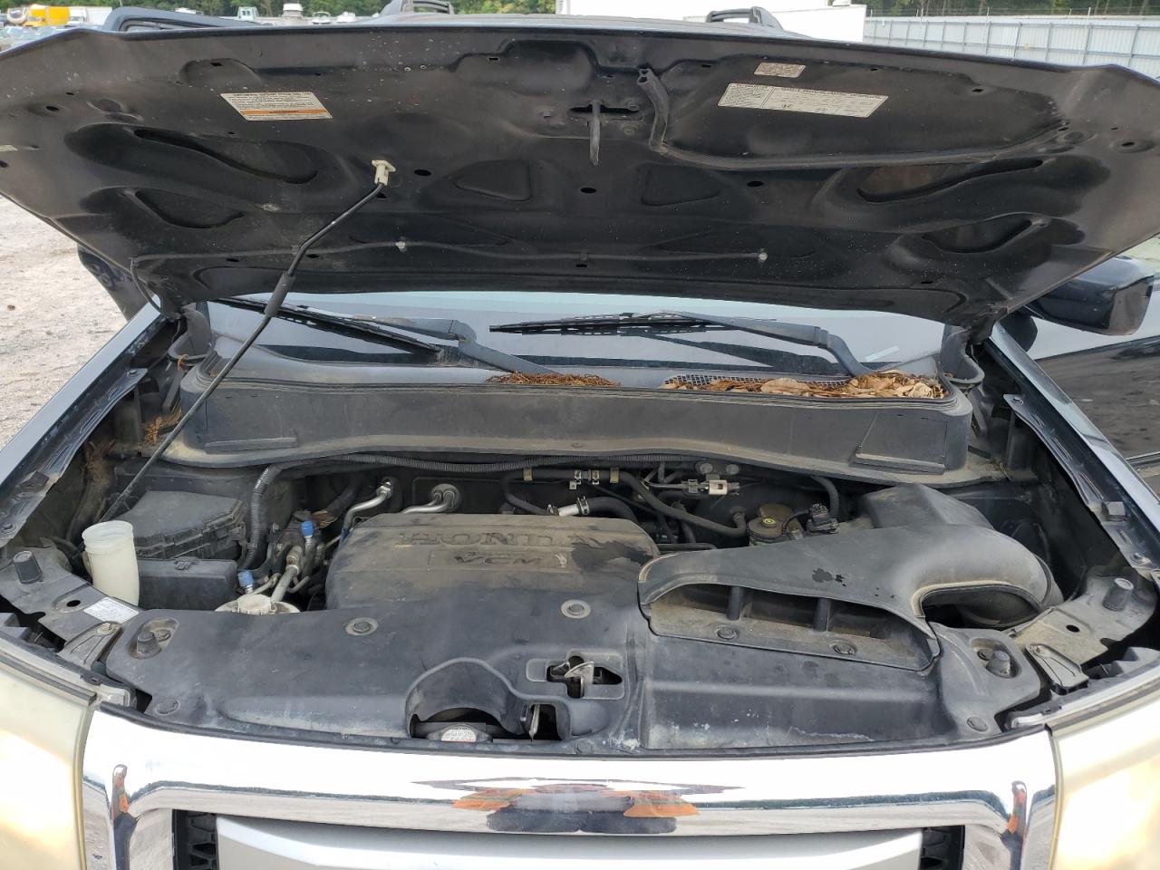 2009 Honda Pilot Exl VIN: 5FNYF48659B023306 Lot: 68542925