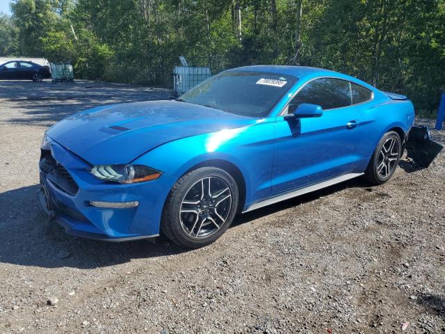 2019 FORD MUSTANG    for sale at Copart ON - COOKSTOWN