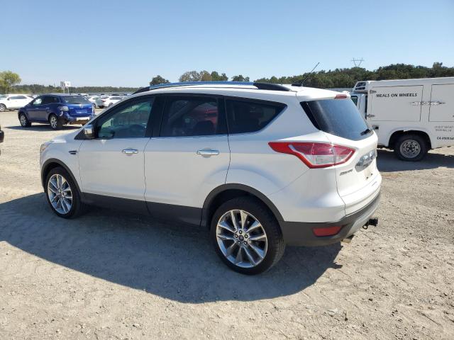  FORD ESCAPE 2016 Белы