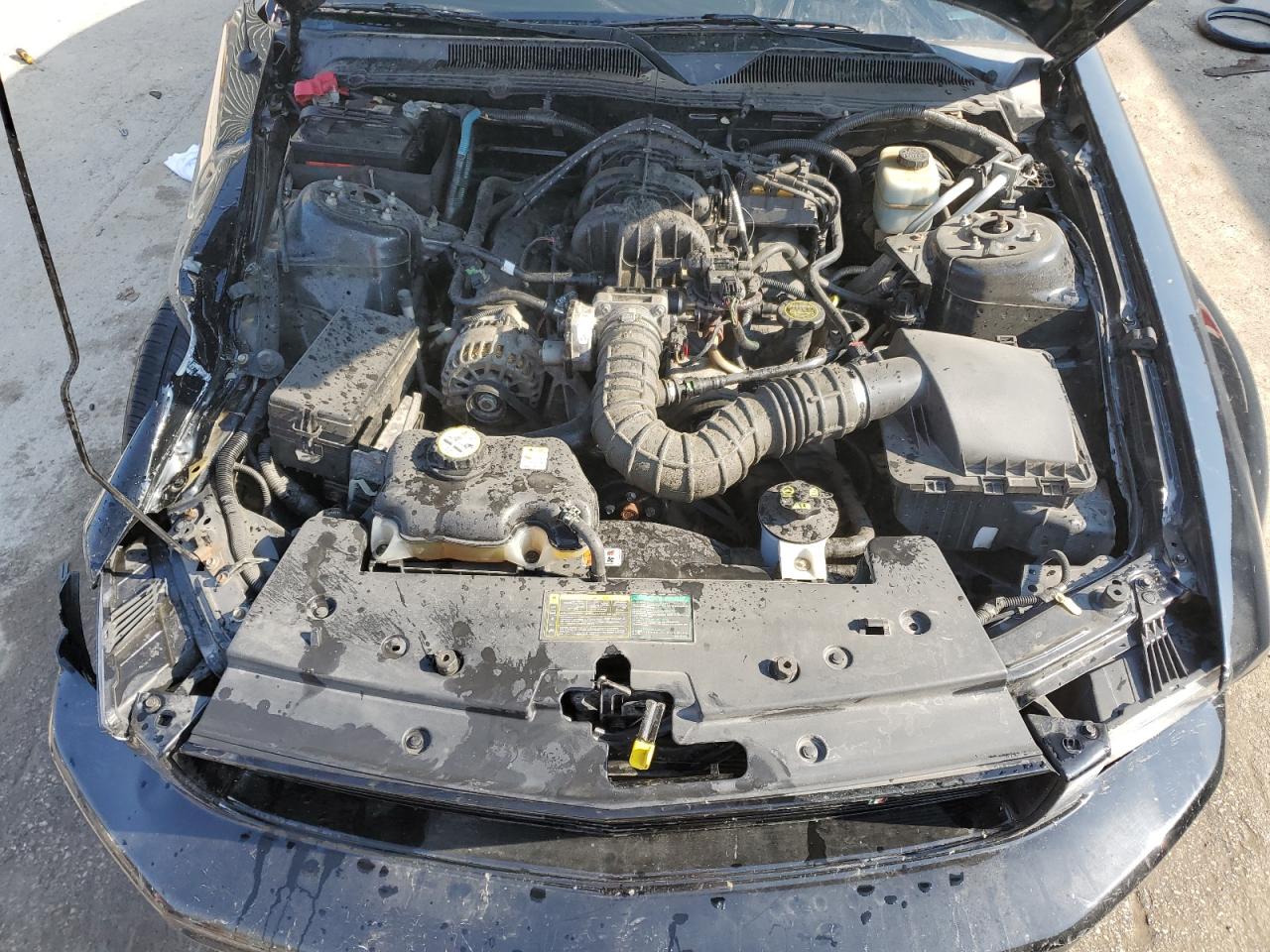 2006 Ford Mustang VIN: 1ZVFT80NX65139427 Lot: 68039955