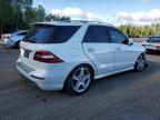 2014 MERCEDES-BENZ ML 350 BLUETEC   à vendre chez Copart ON - COOKSTOWN