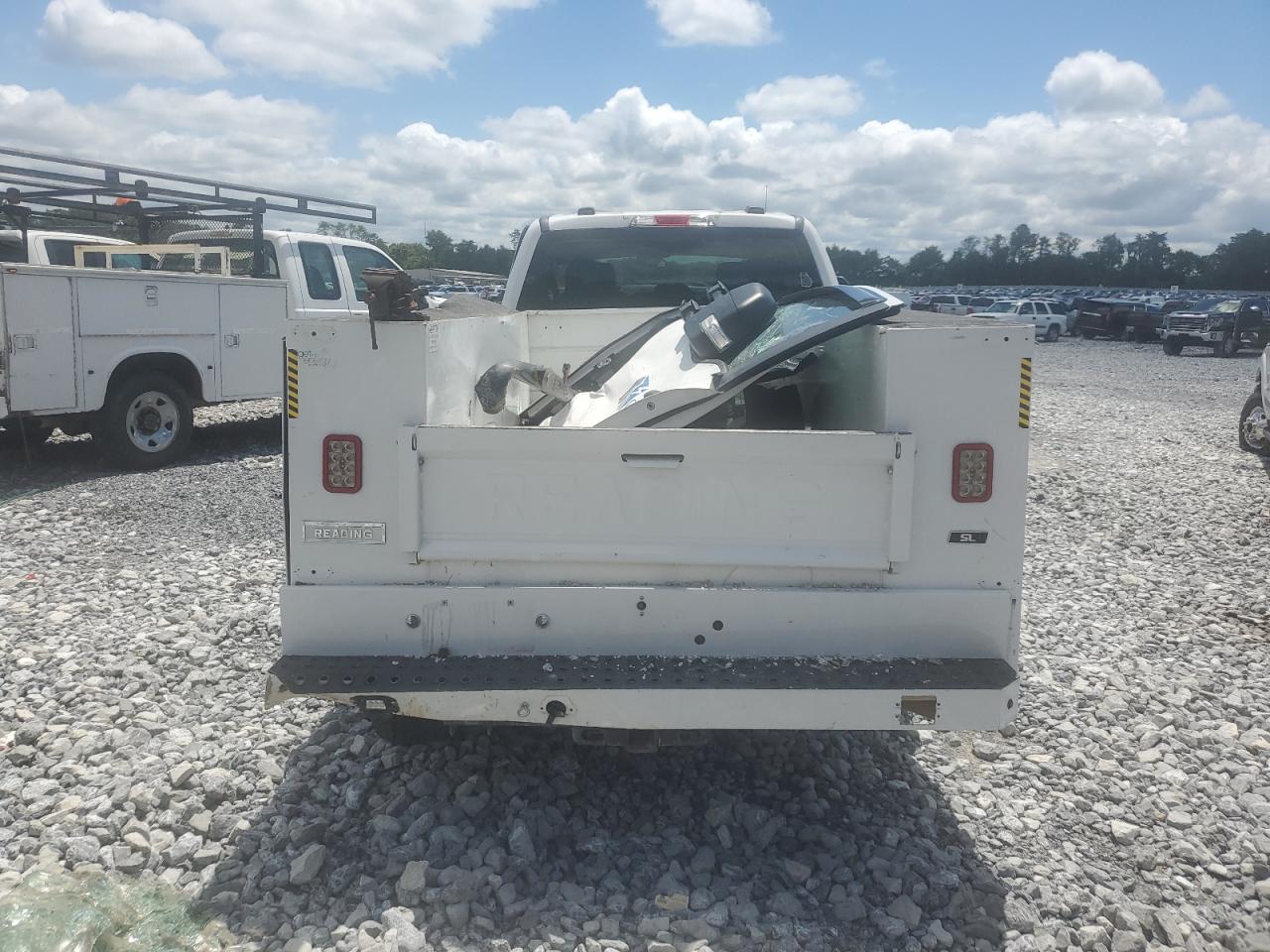 2020 Ford F250 Super Duty VIN: 1FD7X2B63LED67985 Lot: 67600925