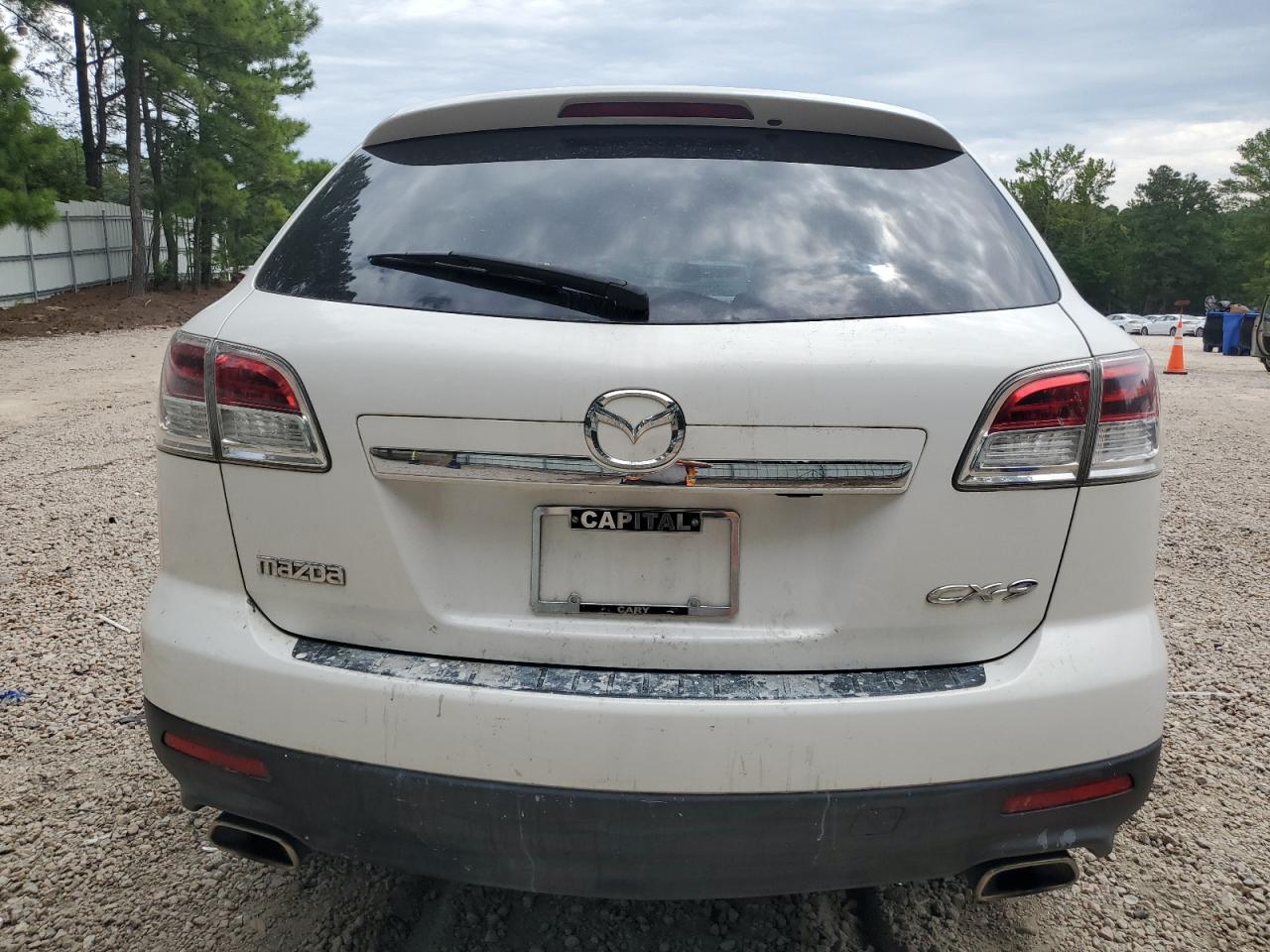 2009 Mazda Cx-9 VIN: JM3TB28A590176238 Lot: 70535385