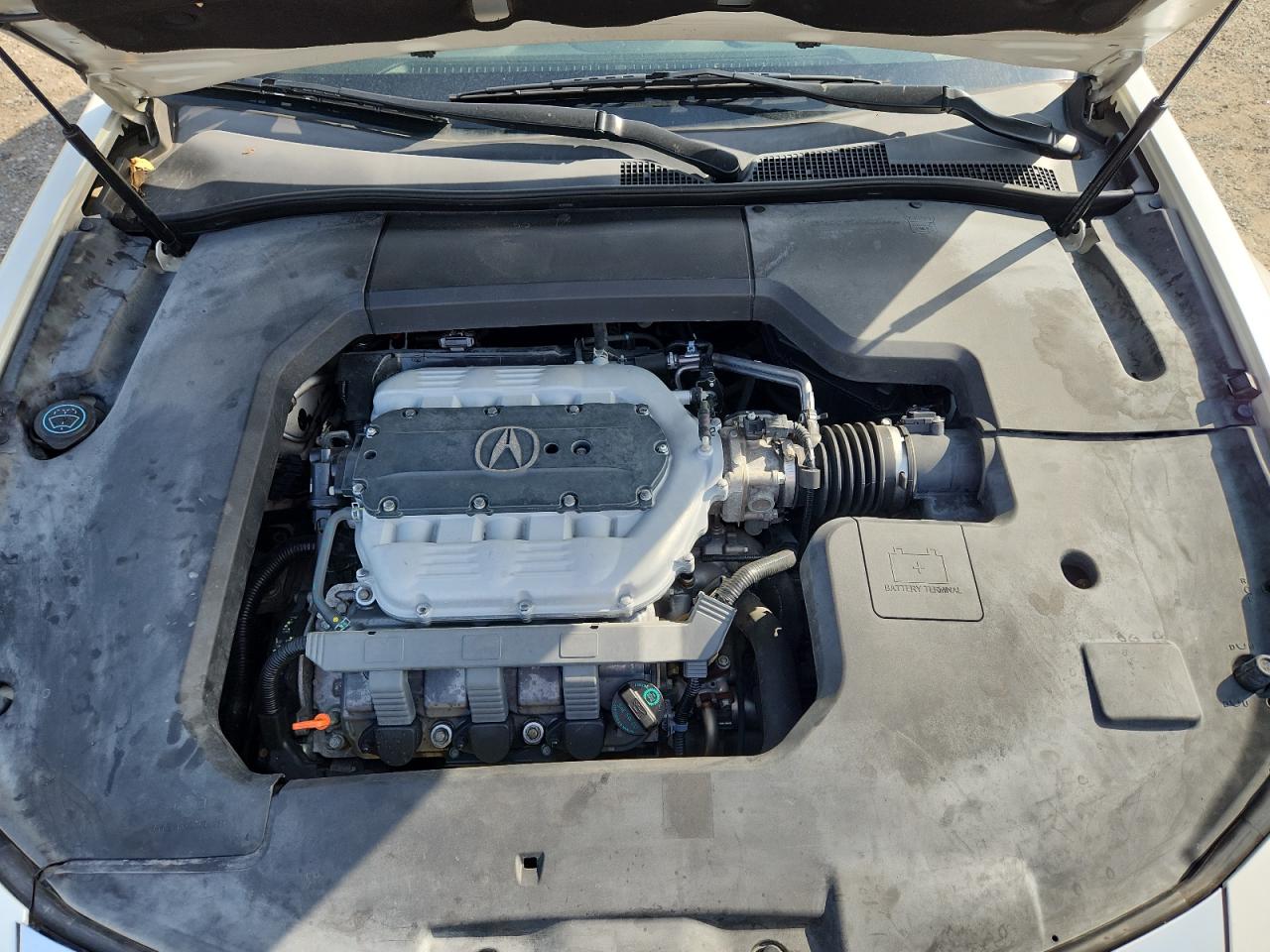 2009 Acura Tl VIN: 19UUA86219A025598 Lot: 68762515