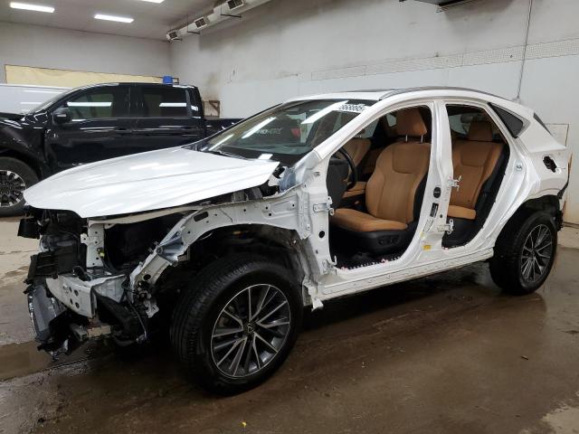 LEXUS NX 350H 2022