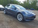 2021 TESLA MODEL 3    à vendre chez Copart ON - COOKSTOWN