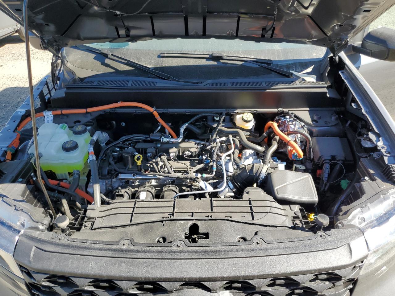 2025 Ford Maverick Xlt VIN: 3FTTW8H36SRA80562 Lot: 70160635