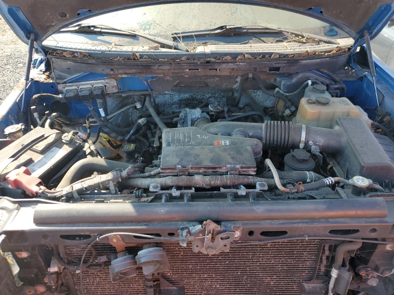 2010 Ford F150 Super Cab VIN: 1FTEX1EW6AFB26821 Lot: 68786155