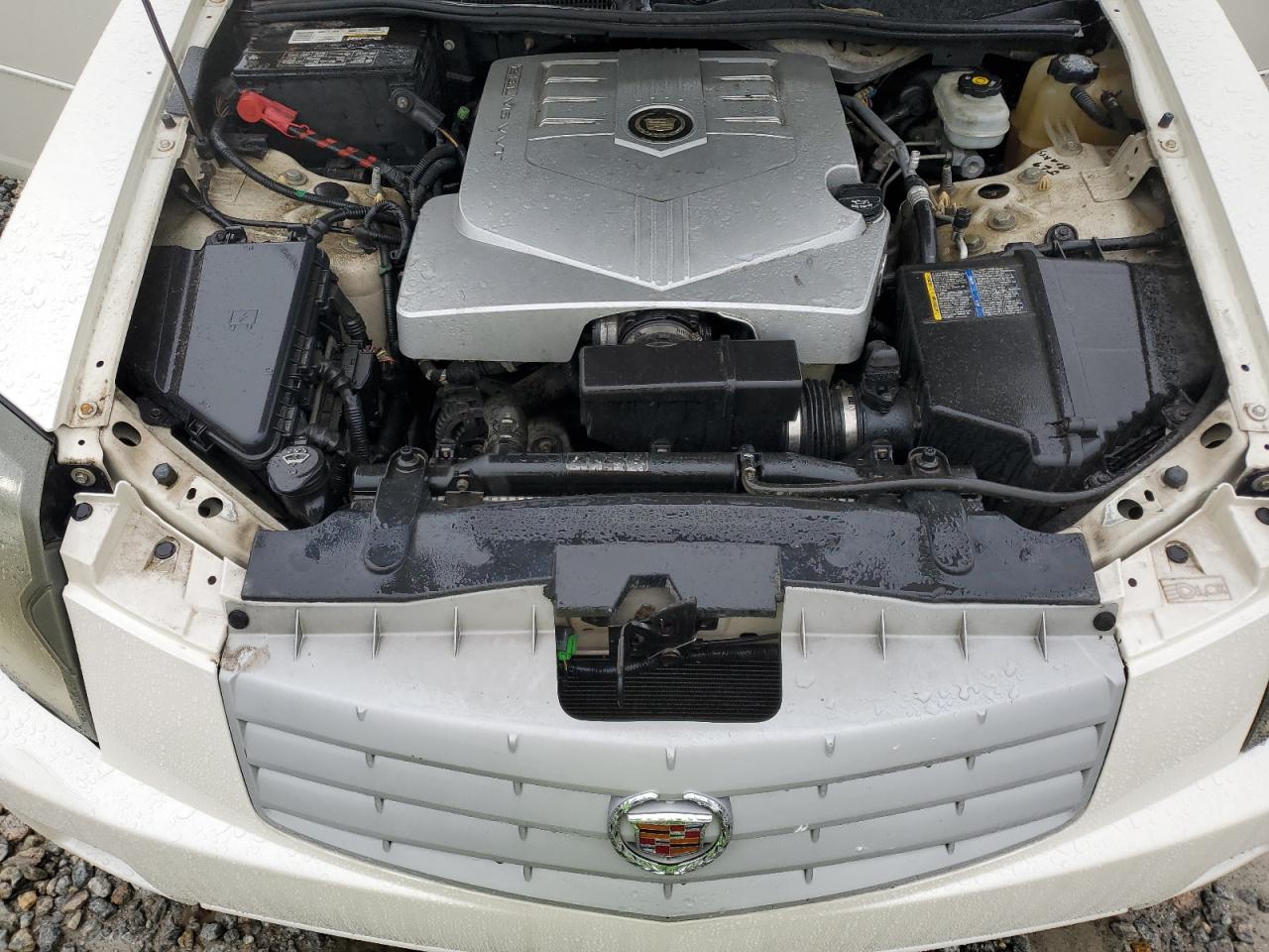 2006 Cadillac Cts VIN: 1G6DM57T260144194 Lot: 67568665