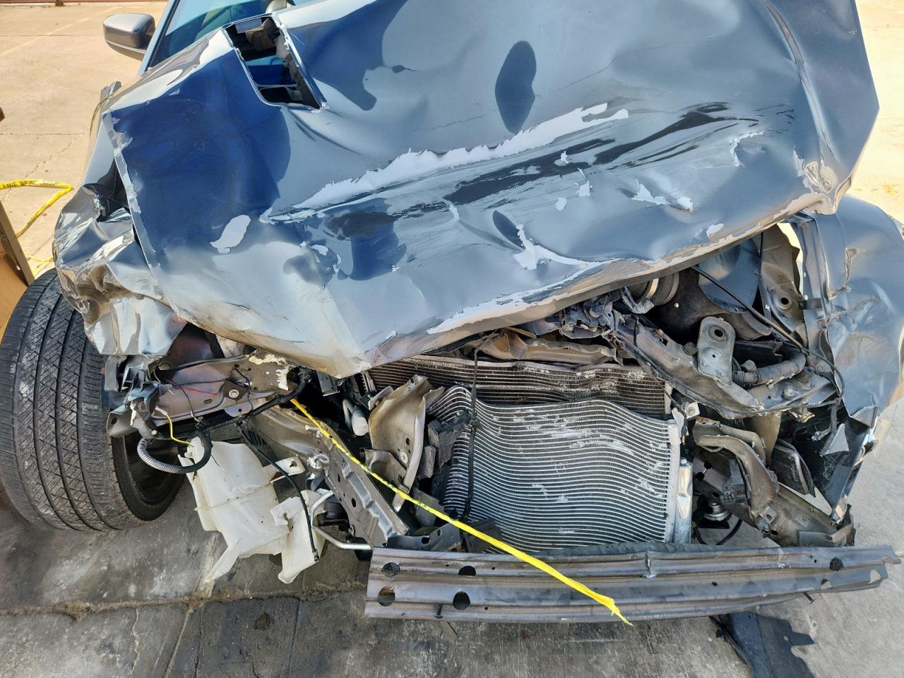 2013 Ford Mustang Gt VIN: 1ZVBP8CF8D5274300 Lot: 70413255