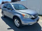 2010 HONDA CR-V EX   for sale at Copart MA - SOUTH BOSTON